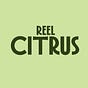 Citrus's avatar