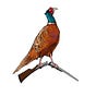 End Bird Shooting's avatar