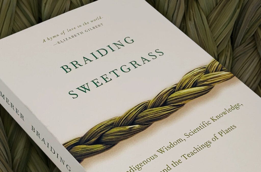 WSU selects 'Braiding Sweetgrass' as next common read for students | WSU  Insider | Washington State University