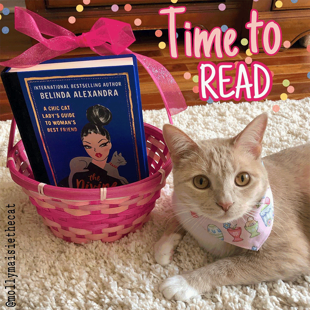 Cat montage of beautiful cats sitting next to the book THE DIVINE FELINE. 