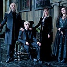 The Harry Potter Actor Who Almost Spoiled Narnia