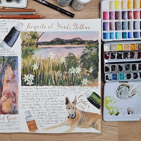 Diary of Delight | No. 6