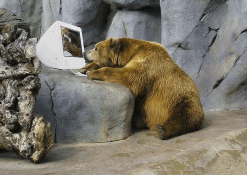 Bear With Me: Text Analysis | Hall of Beorn
