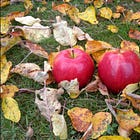 The Apple Tree