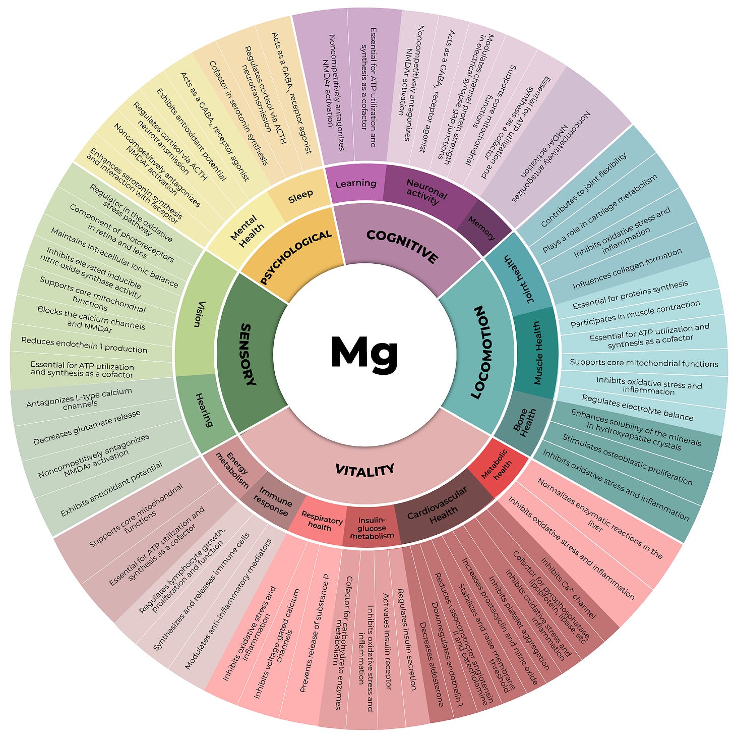 Significant Roles of Magnesium Plus 7 Factors Contributing to Deficiency - GrassrootsHealth Significant Roles of Magnesium Plus 7 Factors Contributing to Deficiency - GrassrootsHealth
