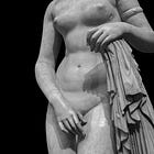 People see sex. Naturists see something else.