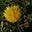 Angledtay Ordsway Werd Gooru's avatar
