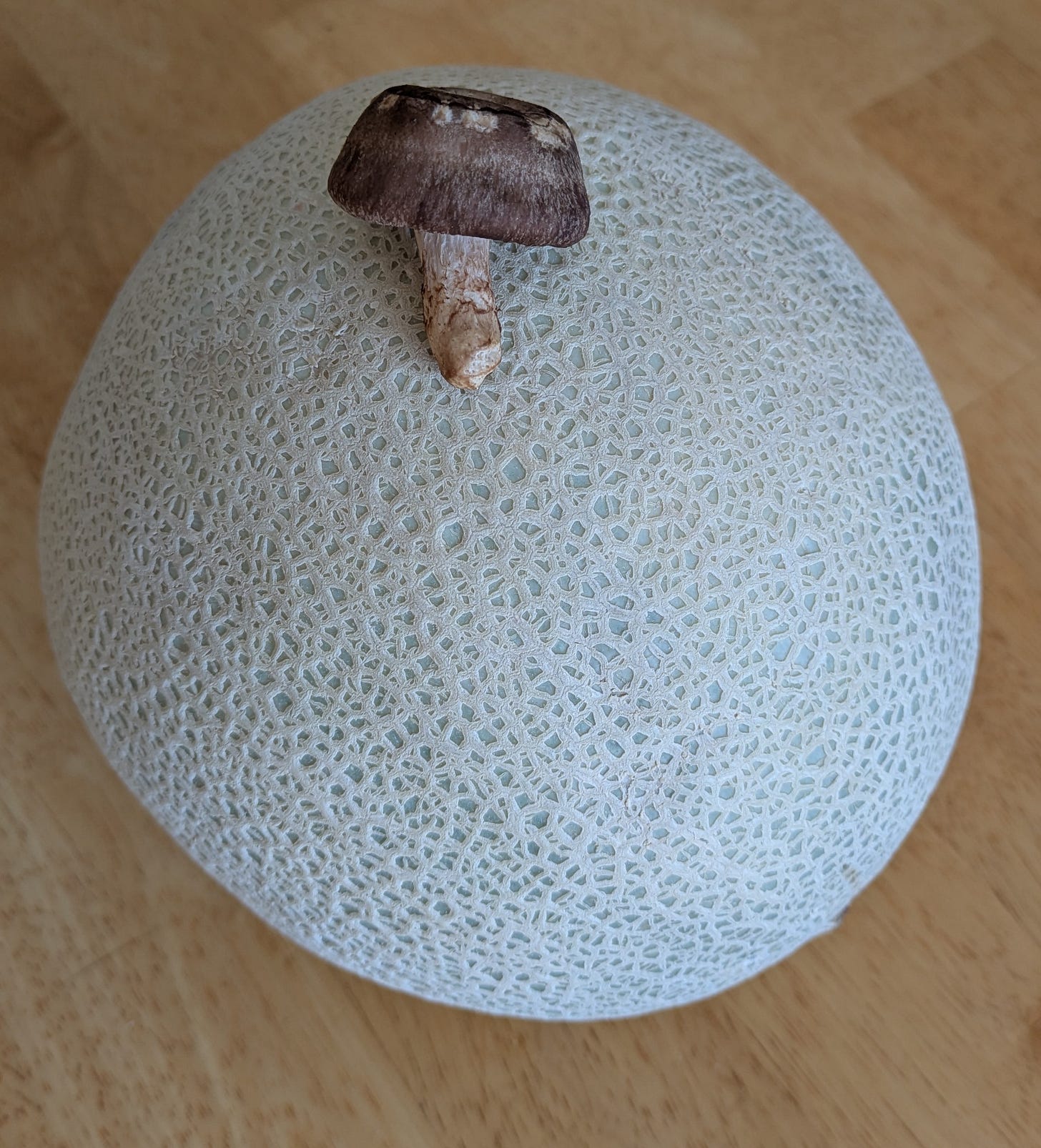 Photo of a large cantaloupe with a small mushroom on top of it