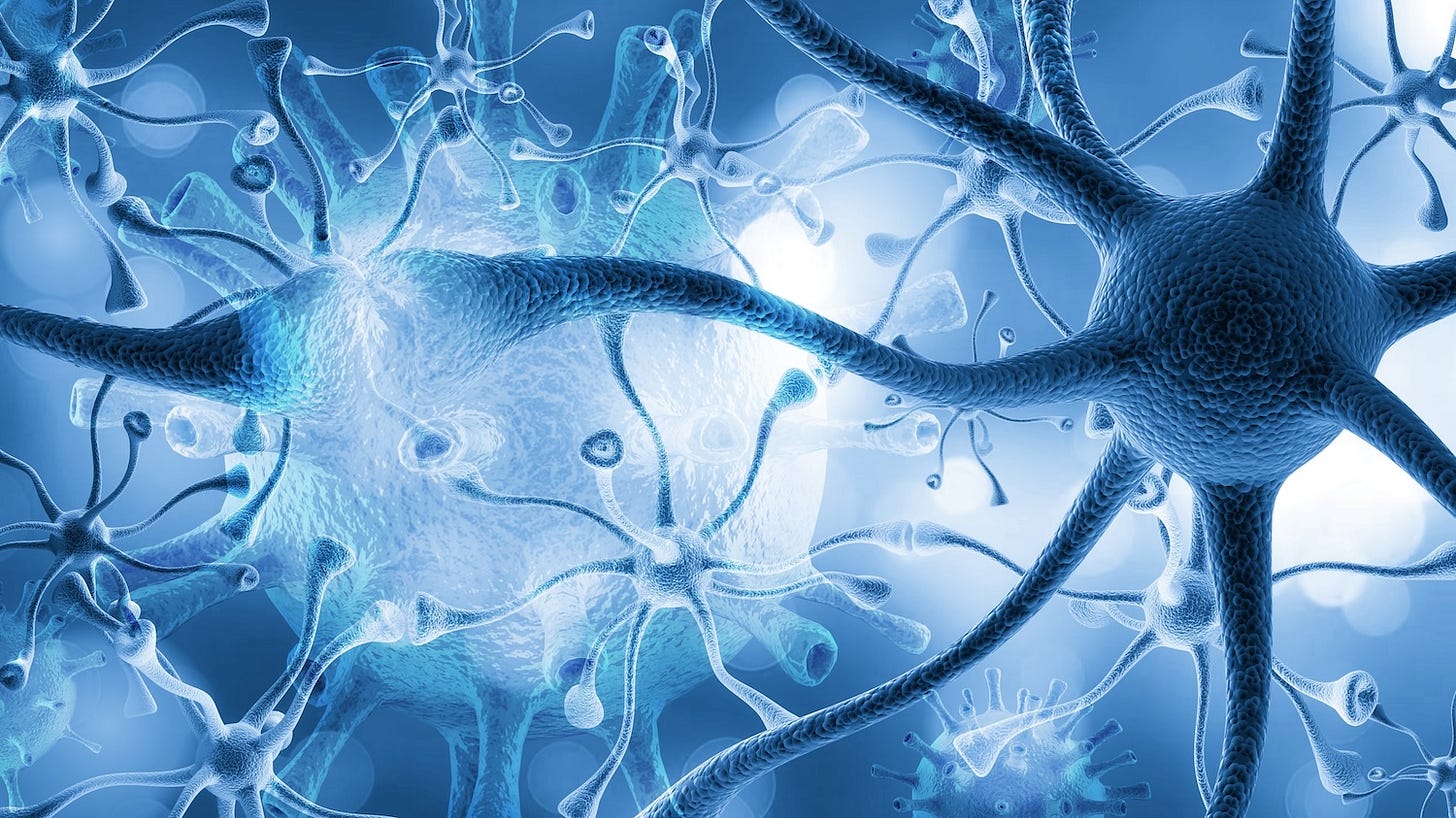 The secret of consciousness may be found in the strange electric fields inside our skulls