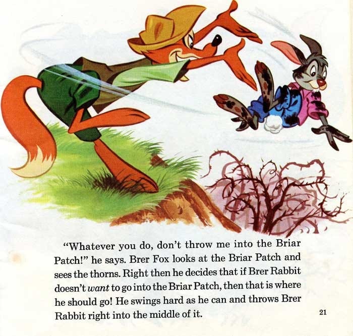 Please don't throw me into the brier patch!!! > General Discussion > AR15.COM