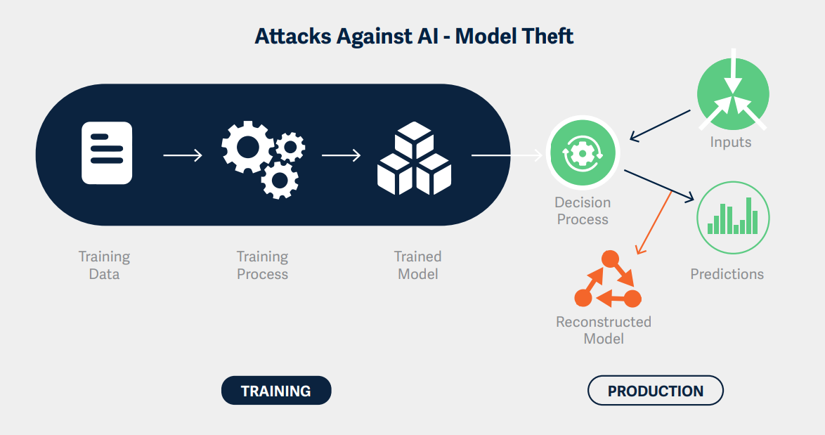 A diagram from HiddenLayer illustrating model theft techniques. The left side shows the training phase, starting with training data, moving through the training process, and resulting in a trained model. The right side represents the production phase, where the trained model's decision process receives inputs and produces predictions. An arrow indicates that the predictions and decision process can be used to reconstruct the model, demonstrating how attackers can steal the model by analyzing its outputs.