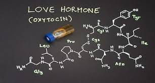 Oxytocin: The love hormone that saves ...