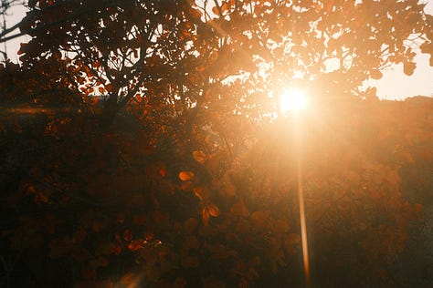 Are this pictures perfect if we do not compare of