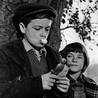 The Darkness Beyond the Hedge