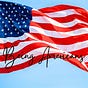 Being Americans's avatar