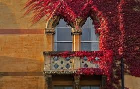 Wallpaper autumn, England, window, ivy ...