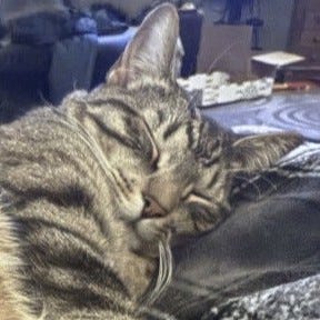 A gallery of four close cropped photos of Mando and Motron from images from the post.