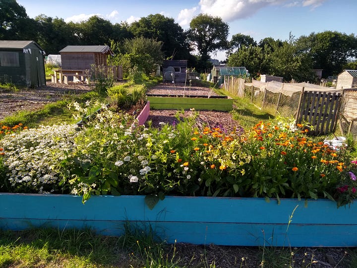 From Murder Between the Tides: