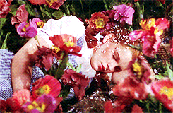 Image may contain Plant Flower Blossom Clothing and Apparel