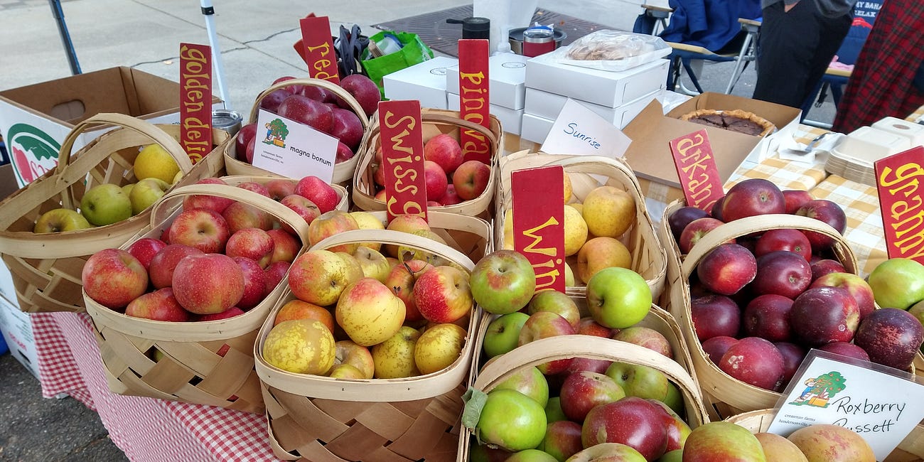 Episode 68 - Where Do I Find All These Apples?