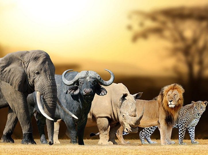 Five Traits to Rule Them All