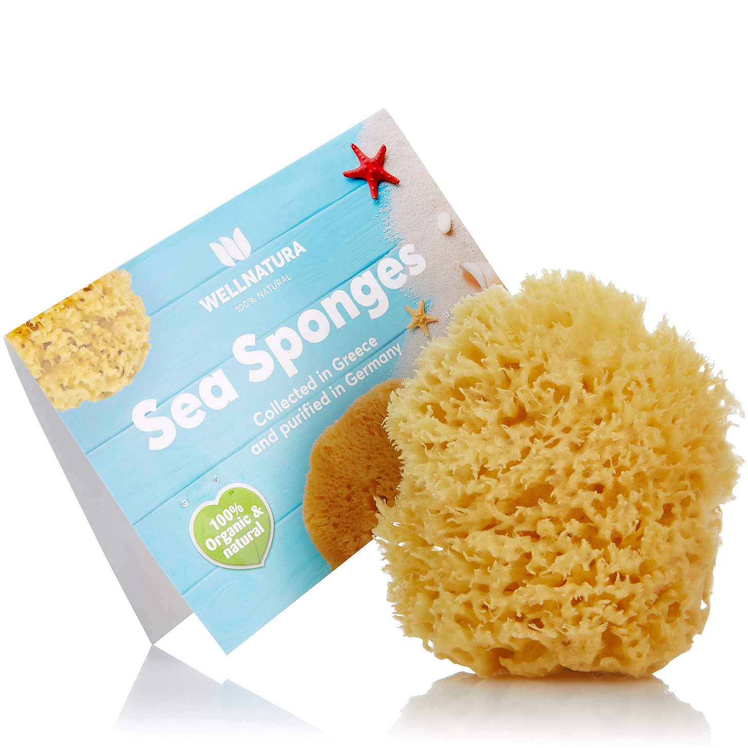 Esponja marinha para banho – 100% natural – 10 cm (grande) – macia,  sensível e ecológica – Especialmente adequada para adultos – Esponja  natural, esponjas marinhas para banho, esponjas | Amazon.com.br