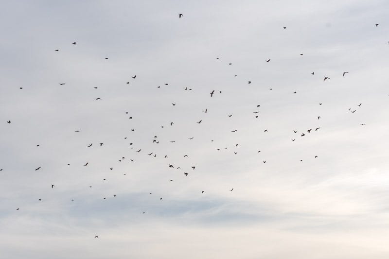 221220-SGC-58-Edit.jpg 221220-SGC-58-Edit.jpg