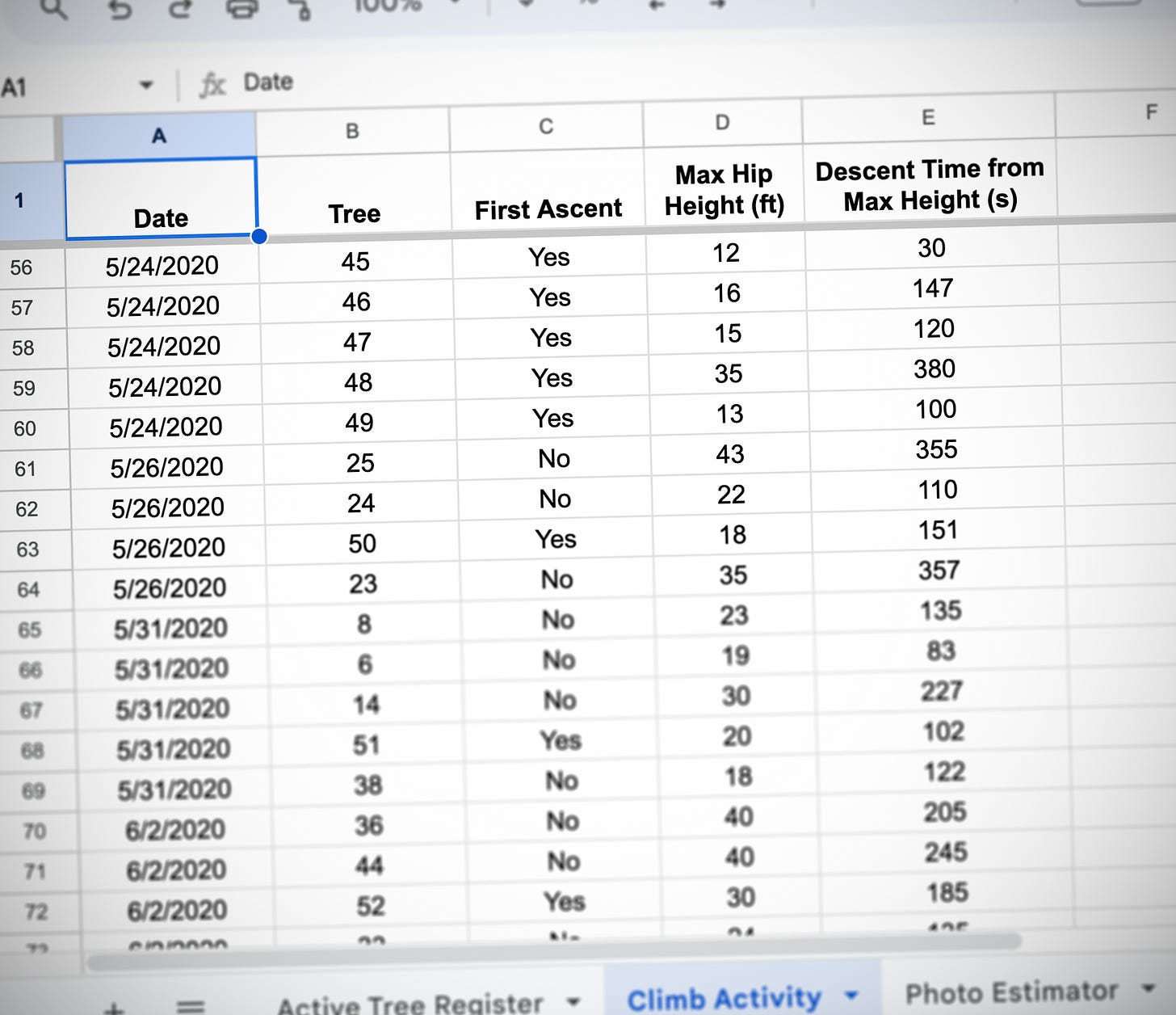 A spreadsheet with climb data, including dates, tree numbers, whether it was my first ascent, maximum height, and time to descend. A spreadsheet with climb data, including dates, tree numbers, whether it was my first ascent, maximum height, and time to descend.