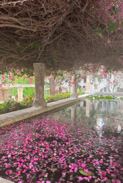 Image By Author - Colour in Palma
