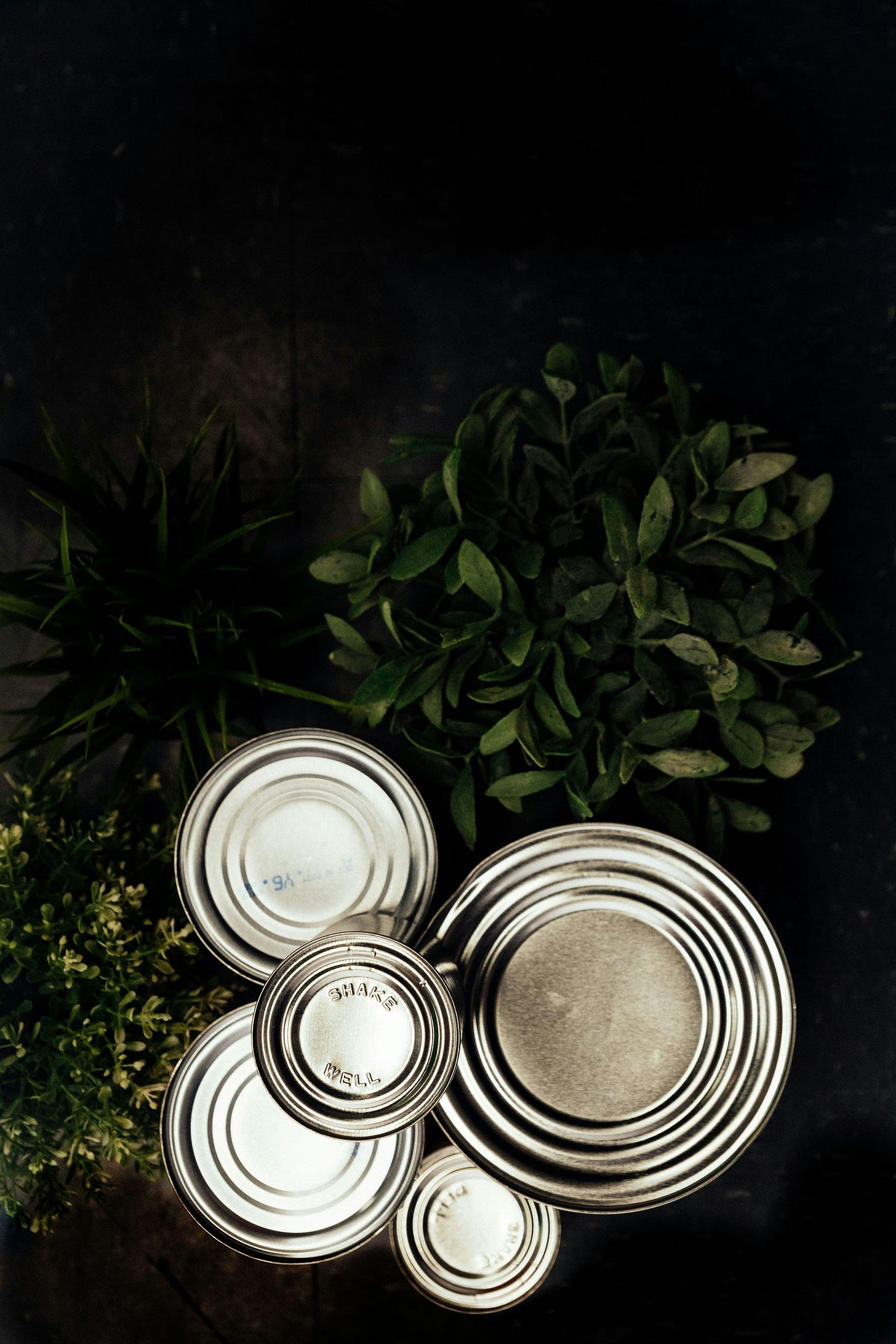 Color photo of the silver tops of several food cans against a background of green leaves