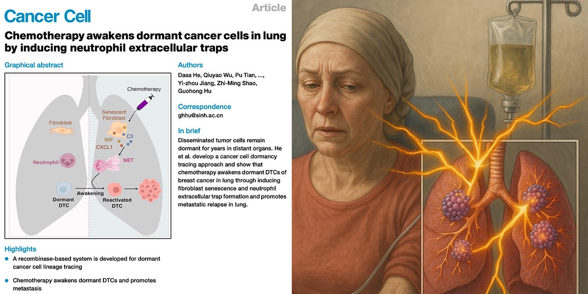 BREAKING: Chemotherapy Reactivates Dormant Cancer Cells &mdash; Triggers Metastasis
