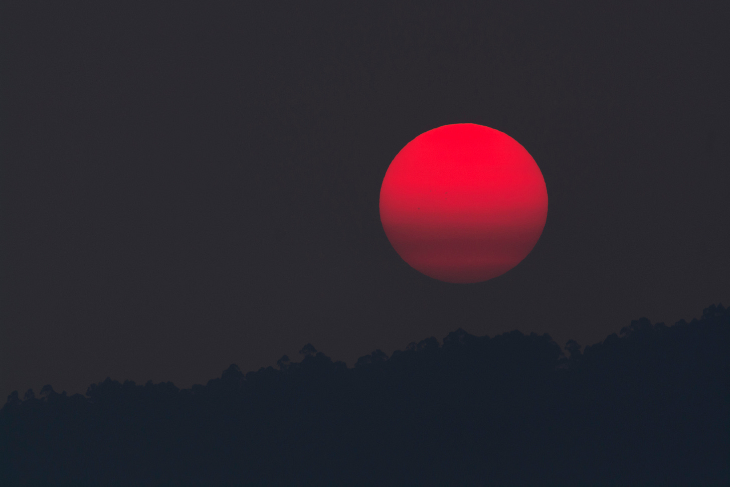 red full moon over the trees red full moon over the trees