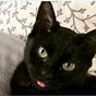 gayle morrow's avatar