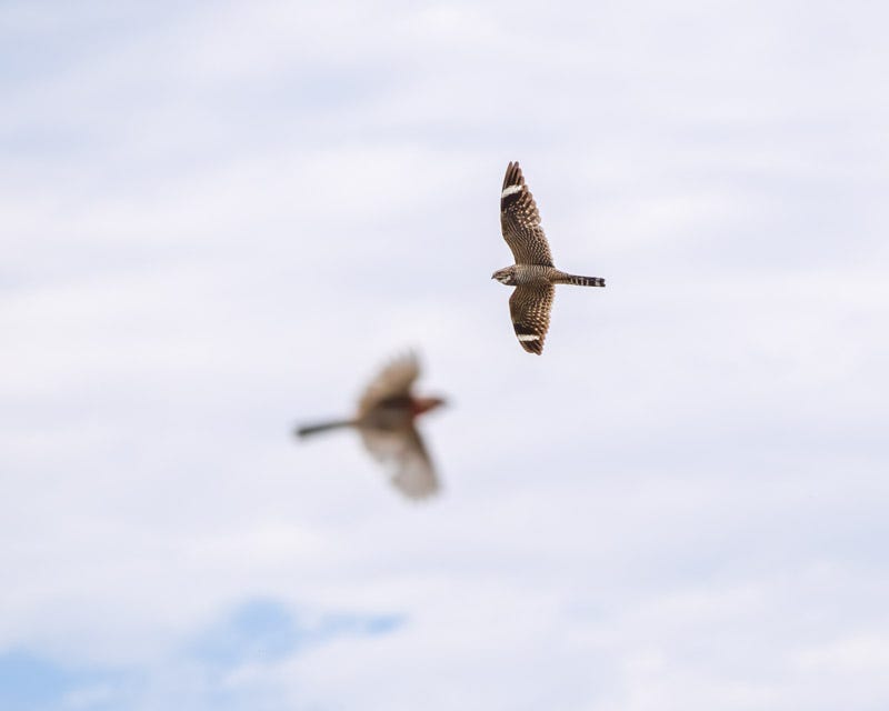 20260615-mby-395-Edit.jpg