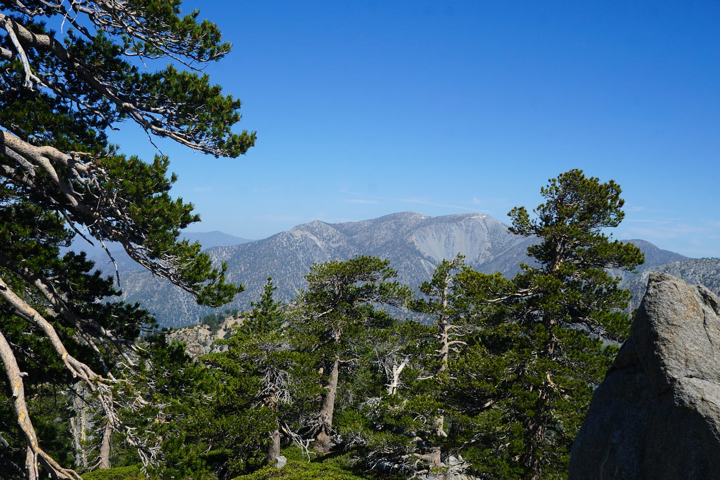 Picture shows the surrounding mountains piercing through the tree lines