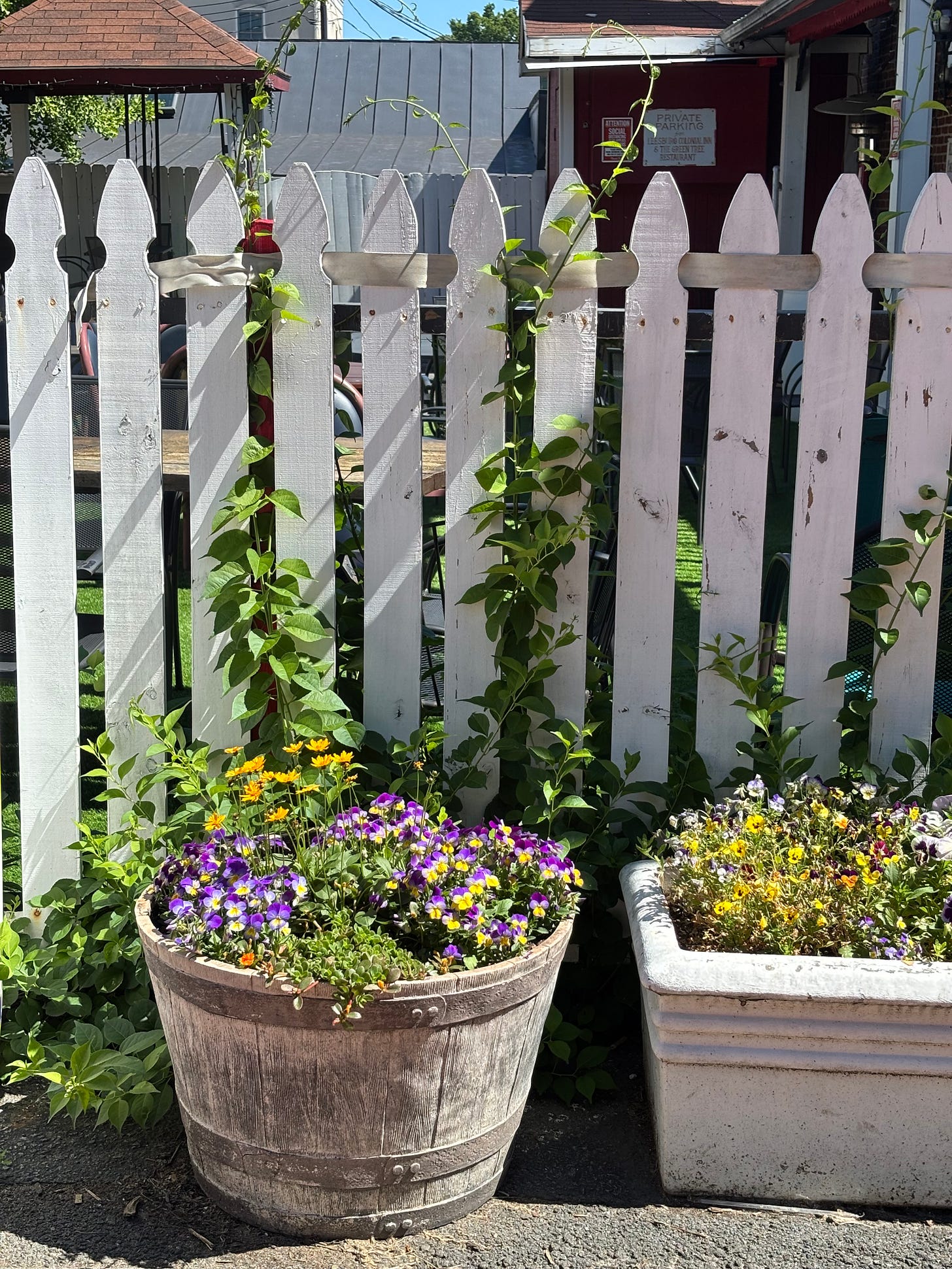 Potted flowers sat against a white picket fence