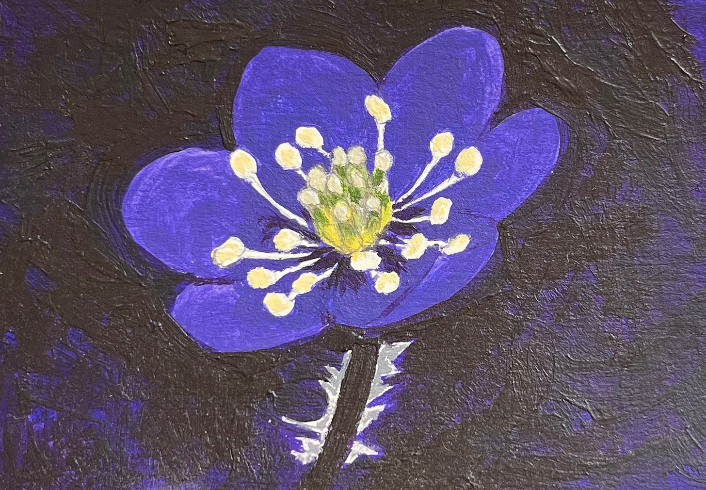 painting of a violet blue hepatica flower