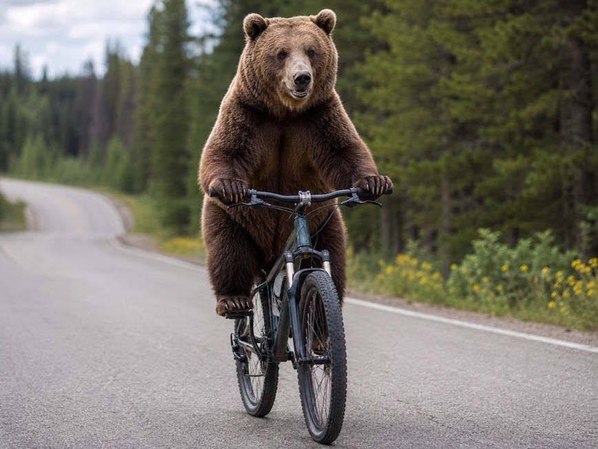 Roundup #84: Bears on bikes