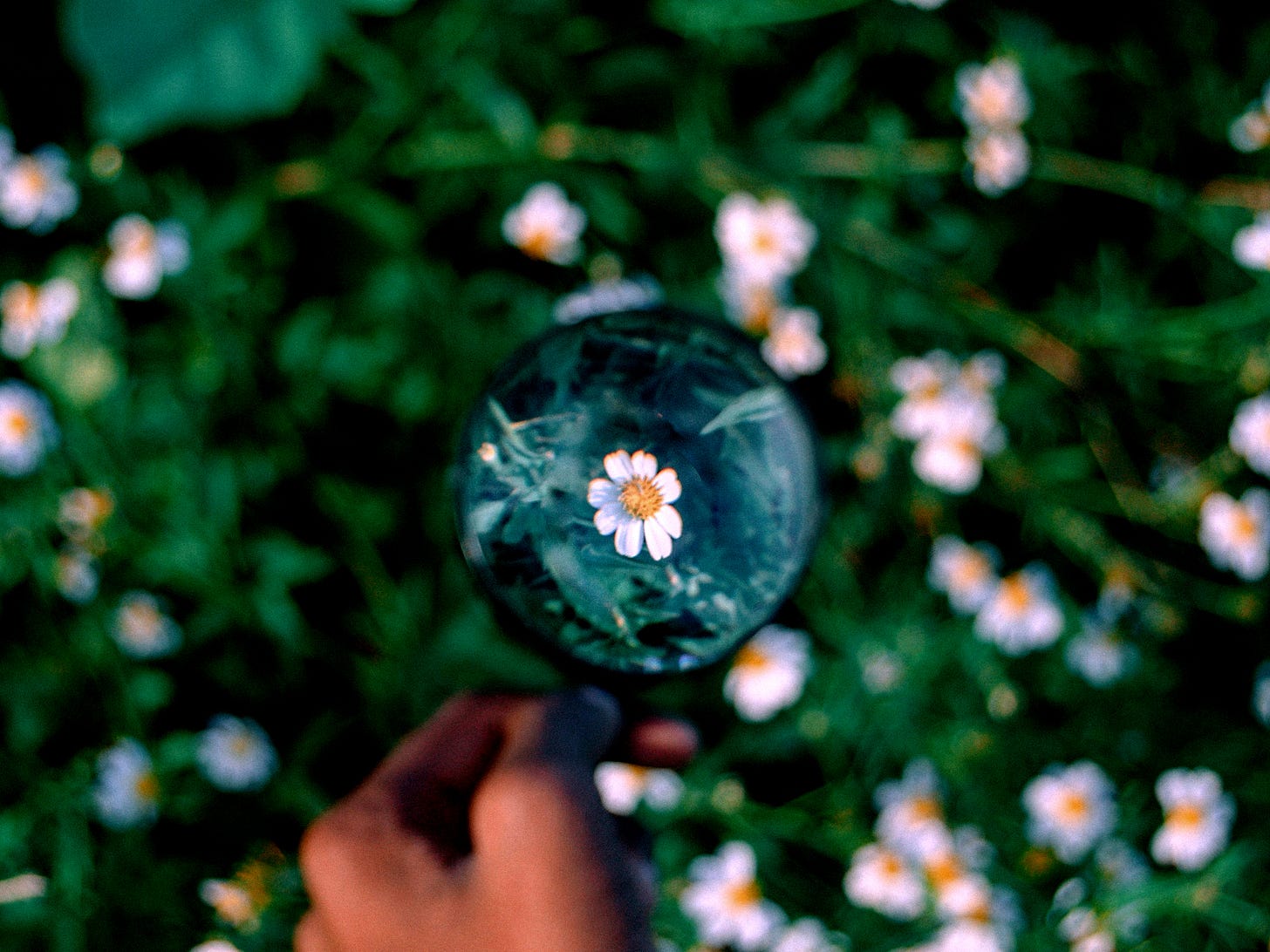 Foto von Abyan Athif auf Unsplash