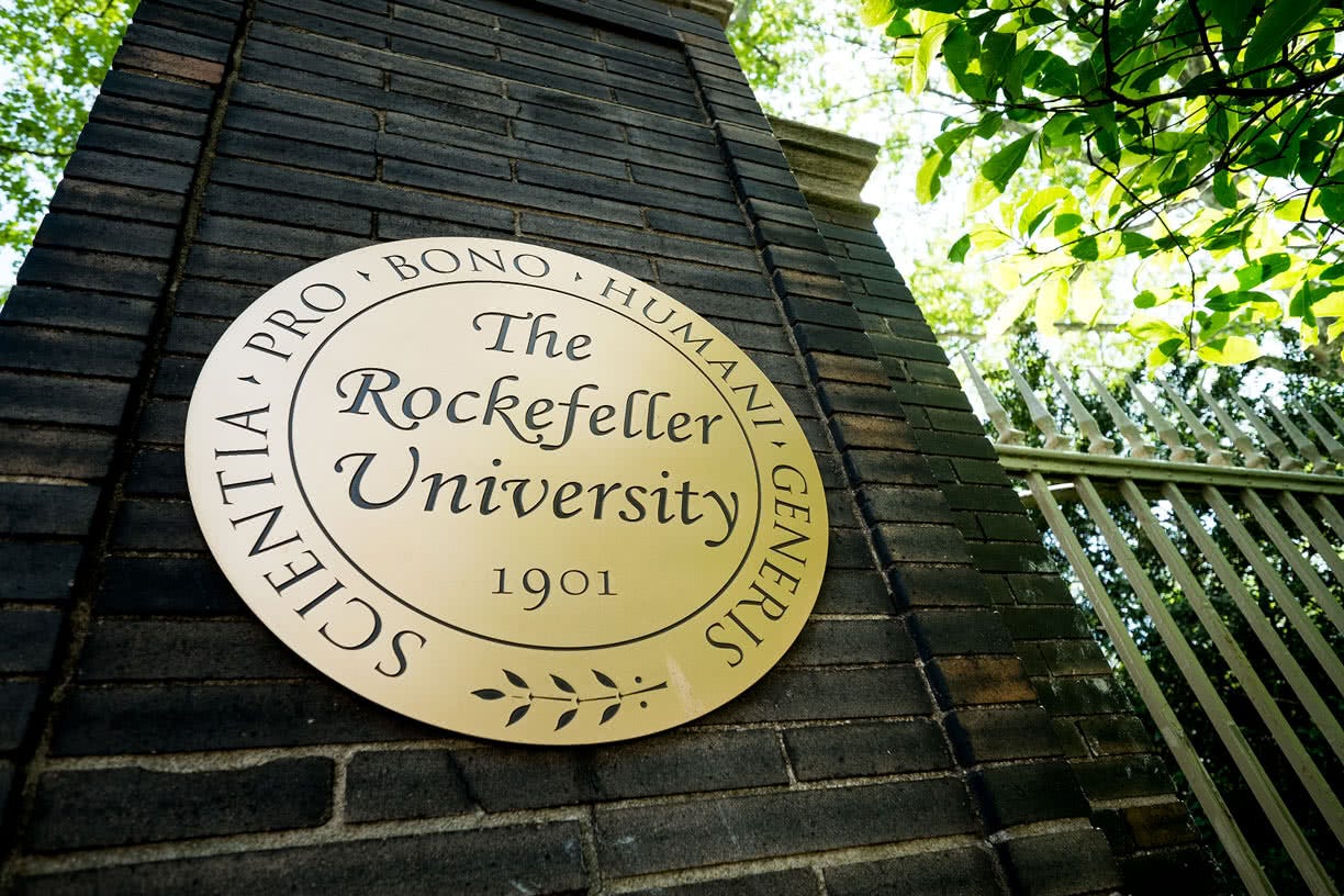 The Rockefeller University » Executive Leadership The Rockefeller University » Executive Leadership