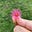 Tugba's avatar