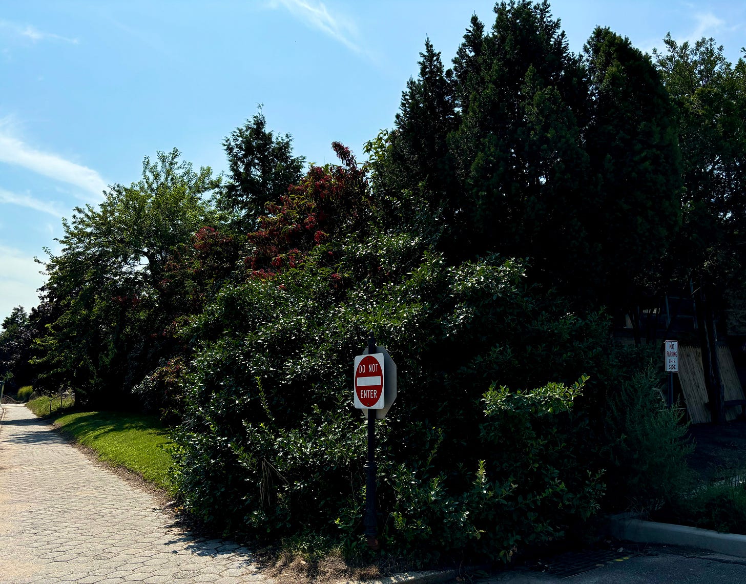 Just a nice looking bunch of bushes and shrubbery. It's what once stood vaguely behind the bushes that's interesting. (And long gone.) Just a nice looking bunch of bushes and shrubbery. It's what once stood vaguely behind the bushes that's interesting. (And long gone.)