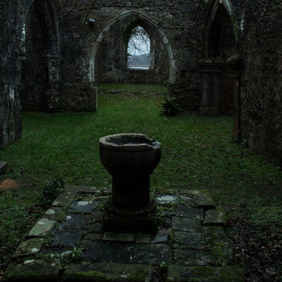 The Forest Rebellion