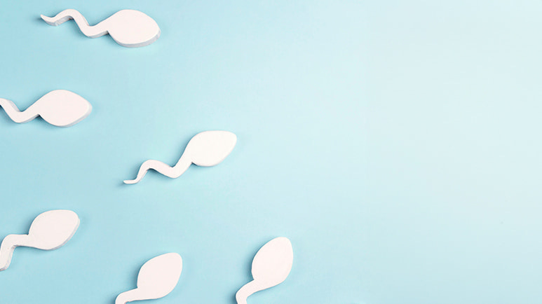 male infertility glyphosate