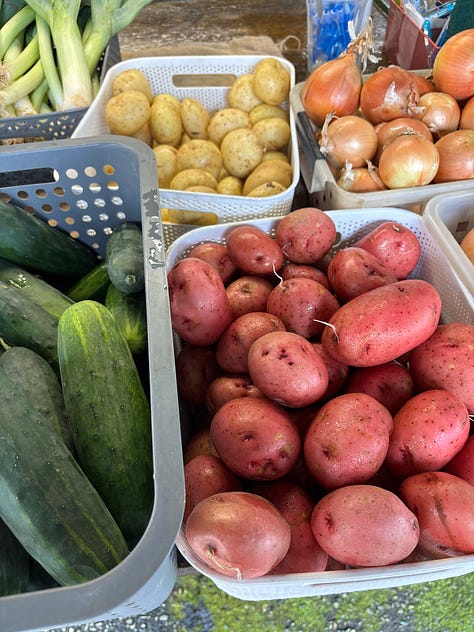 Vegetable Haul