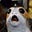 eat_pray_porg's avatar