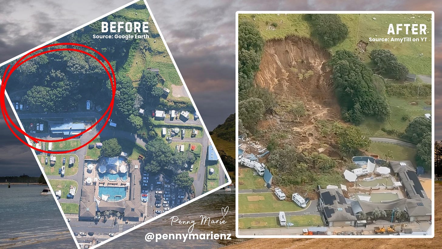 Tauranga’s Avoidable Disaster - Penny Marie NZ