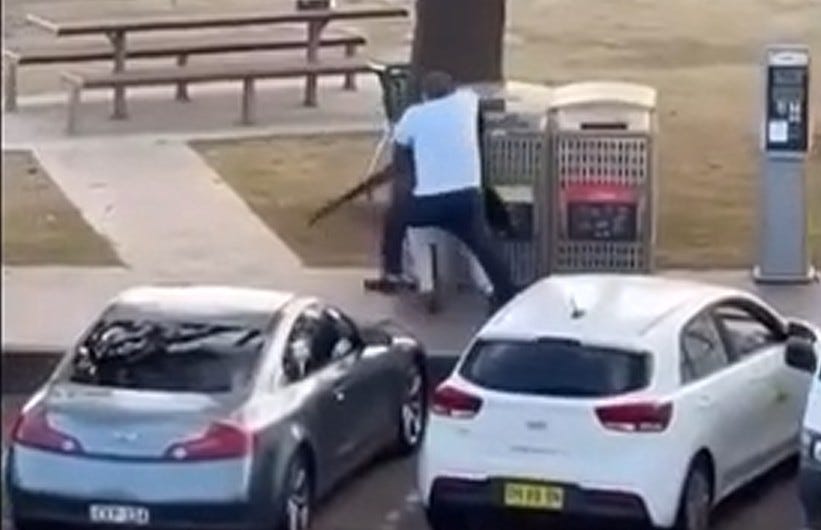 America's Vilest MAGA Creeps Sneer At Unarmed Australians For Getting Shot