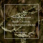 16. The Wild Enchantment Club | Creativity and the myriad colours of lichen