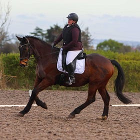 New Year dressage goes down a treat at Knockagh